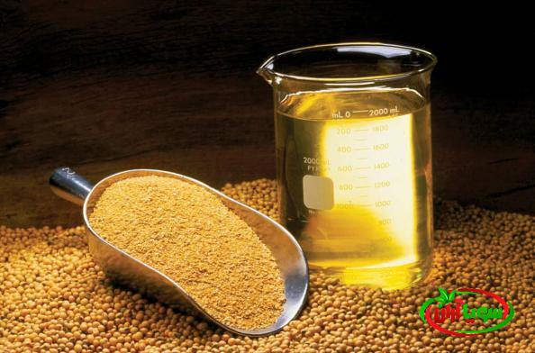 فروش مرغوبترین کنجاله سویا در اهواز 