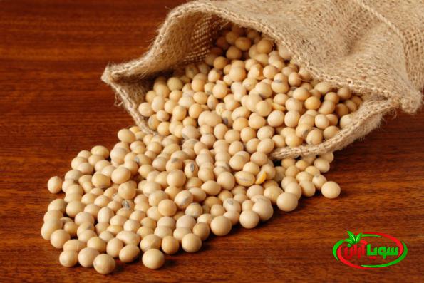 عوامل تاثیر گذار بر قیمت لوبیا سویا