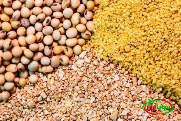 صفر تا صد صادرات سویا برای کشورهای اروپایی