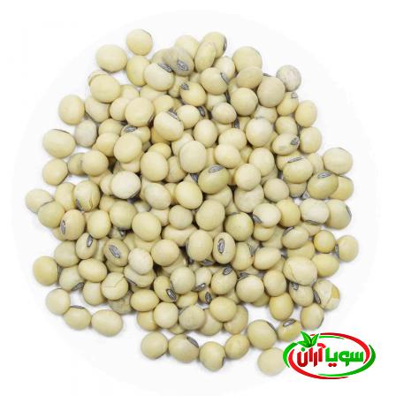 چه عواملی بر کیفیت لوبیای سویای خام تاثیر گذار است؟