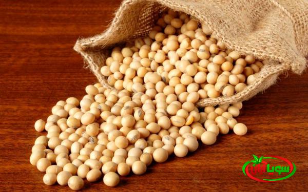 قیمت کنجاله سویا فله ای در سطح شهر با کیفیت بالا