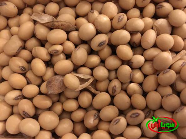 میزان قیمت سویای تازه به چه عواملی بستگی دارد