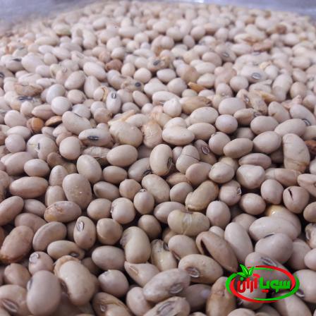 توزیع کنندگان سویا نمکی اعلا بصورت عمده