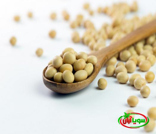 صادرات انواع سویای خورشتی به اروپا