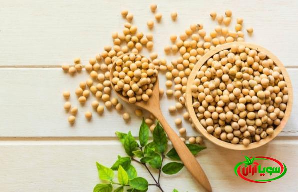 فروش عمده سویا گوشتی در معتبرترین فروشگاه