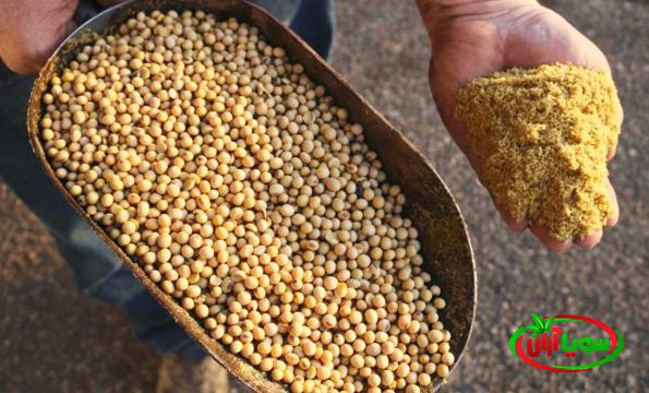 خرید انواع سویای دامی با نازلترین قیمت