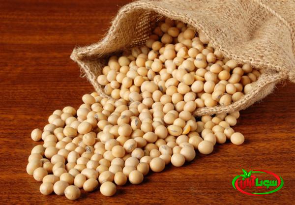 مرکز خرید سویای تازه با قیمت باورنکردنی