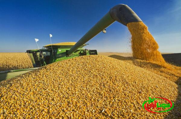 مراکز فروش کنجاله سویا در تهران با کیفت عالی