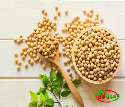 خرید بهترین سویای خورشتی با کمترین هزینه