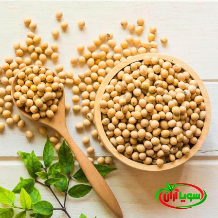 مناسبترین روش نگهداری سویا نمکی برای صادرات