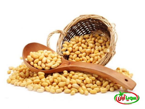 خرید بی واسطه لوبیا سویا ارگانیک از بهترین فروشنده
