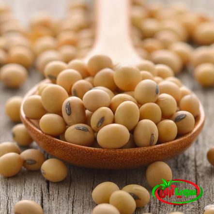 اصول قیمت گذاری در لوبیا سویا اعلا