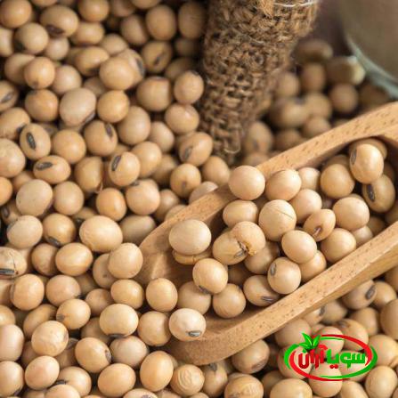 آشنایی با انواع روش های پخش سویا در بازار