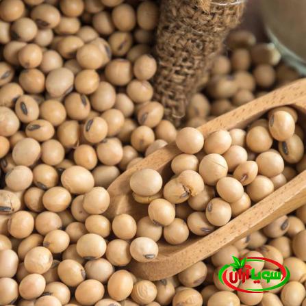 قیمت عمده ای لوبیا سویا خام در بازارهای داخلی
