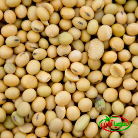 علت افزایش قیمت کنجاله سویا درجه یک در بازار